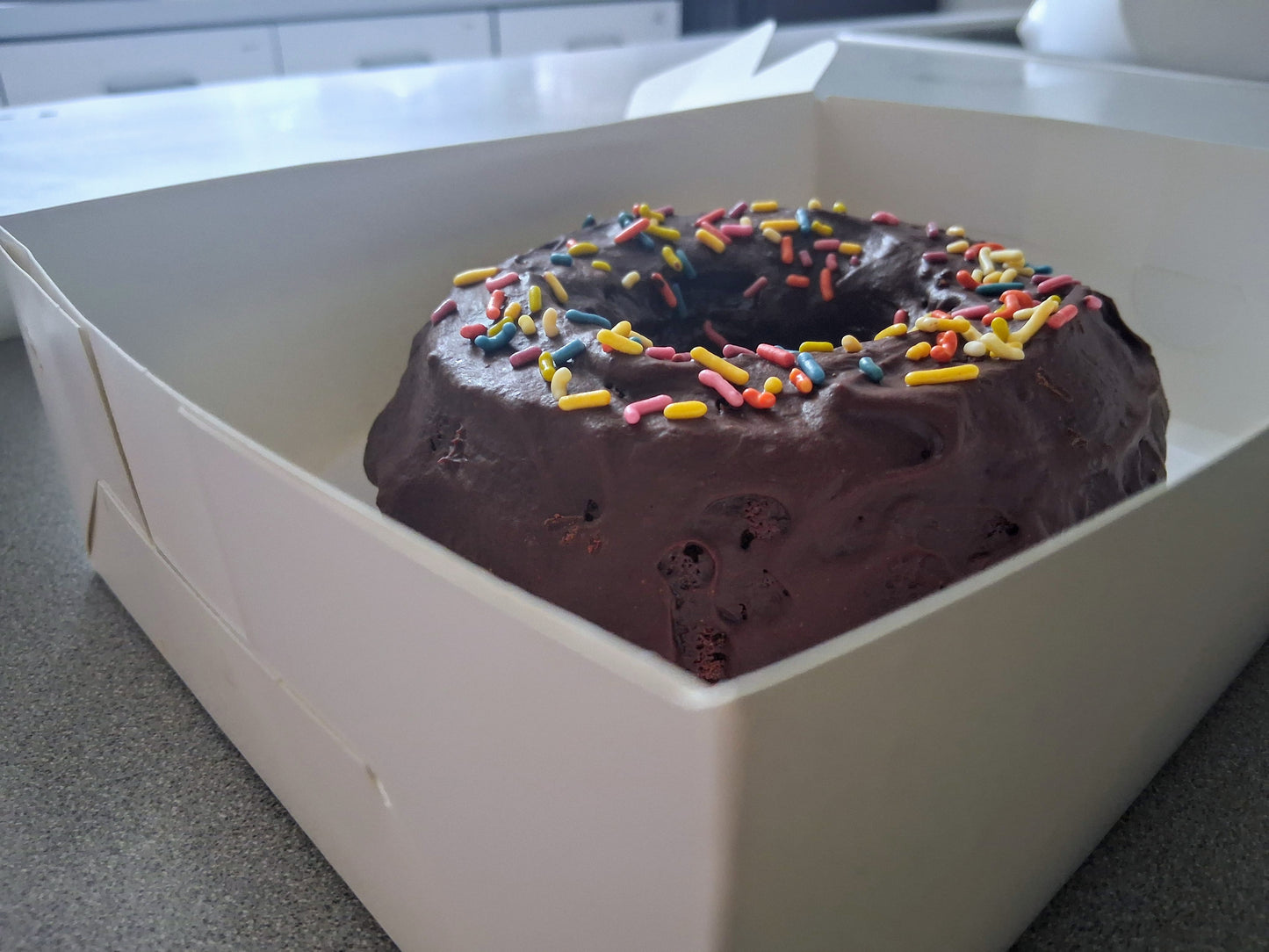 Chocolate Mini Bundt Cake - Gluten-Free and Dairy-Free!
