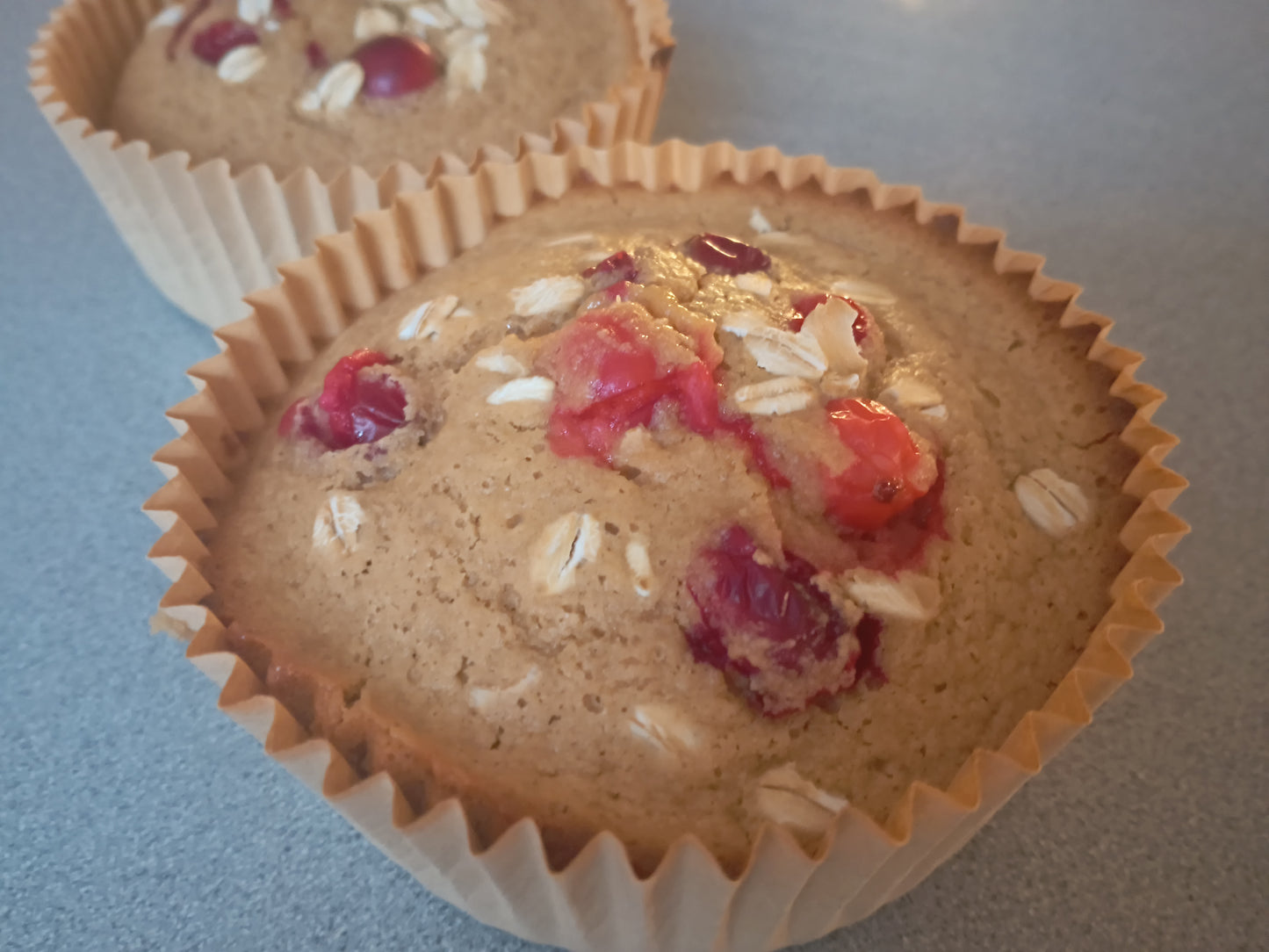 Cranberry Spice Whole Grain Jumbo Muffin – Sugar-Free, GF, 5 oz